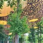 Magyar Zene Háza Budapest - Egyéb