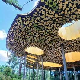 Magyar Zene Háza, Budapest - Egyéb