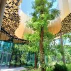 Magyar Zene Háza Budapest - Egyéb