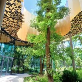 Magyar Zene Háza, Budapest - Egyéb