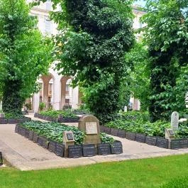 Magyar Zsidó Múzeum és Levéltár, Budapest - Egyéb