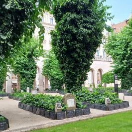 Magyar Zsidó Múzeum és Levéltár, Budapest - Egyéb