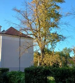 Magyarok Nagyasszonya plébániatemplom