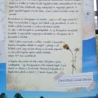 Mausz-kápolna Szálka - Egyéb