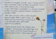 Mausz-kápolna Szálka