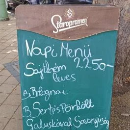 Medvetáncoltató, Szolnok - Egyéb