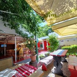 Medvetáncoltató, Szolnok - Egyéb