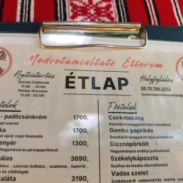 Medvetáncoltató, Szolnok - Egyéb