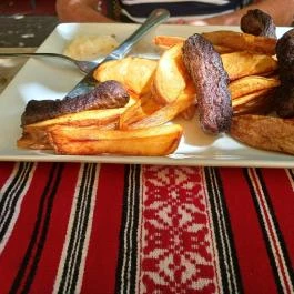 Medvetáncoltató, Szolnok - Egyéb