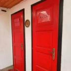 Medvetáncoltató Szolnok - Egyéb