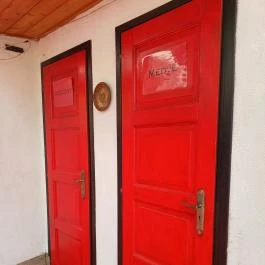 Medvetáncoltató, Szolnok - Egyéb