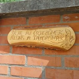 Medvetáncoltató, Szolnok - Egyéb