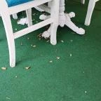 Melissa Bistro Greek Taverna - Nyugati Budapest - Egyéb