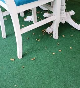 Melissa Bistro Greek Taverna - Nyugati