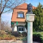 Millennium 2000 Szolnok - Egyéb