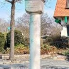 Millennium 2000 Szolnok - Egyéb