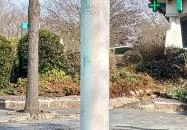 Millennium 2000 Szolnok