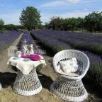 Milléri Levendulakert Besenyszög - Egyéb