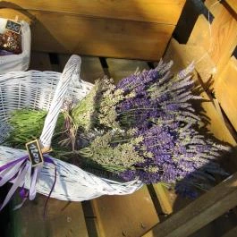 Milléri Levendulakert, Besenyszög - Egyéb