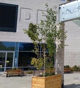 MODEM Modern és Kortárs Művészeti Központ