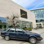 MODEM Modern és Kortárs Művészeti Központ Debrecen - Egyéb