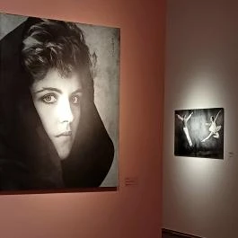 MODEM Modern és Kortárs Művészeti Központ Debrecen - Egyéb