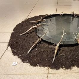 Műcsarnok, Budapest - Egyéb