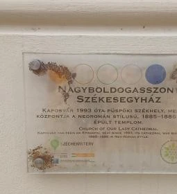 Nagyboldogasszony-székesegyház