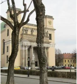 Váci Nagyboldogasszony-székesegyház 