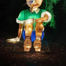Garden of Lights Debrecen ZOO Debrecen - Egyéb
