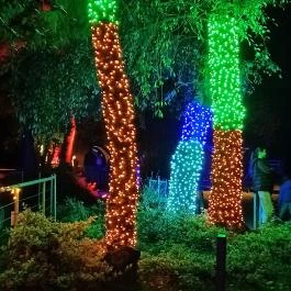 Garden of Lights Debrecen ZOO, Debrecen - Egyéb