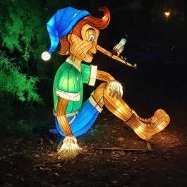 Garden of Lights Debrecen ZOO, Debrecen - Egyéb