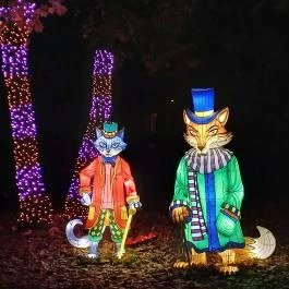 Garden of Lights Debrecen ZOO, Debrecen - Egyéb