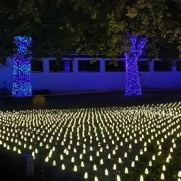 Garden of Lights Debrecen ZOO, Debrecen - Egyéb