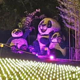 Garden of Lights Debrecen ZOO, Debrecen - Egyéb