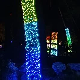 Garden of Lights Debrecen ZOO, Debrecen - Egyéb