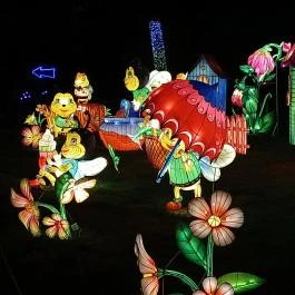 Garden of Lights Debrecen ZOO, Debrecen - Egyéb