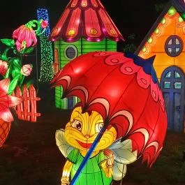 Garden of Lights Debrecen ZOO, Debrecen - Egyéb