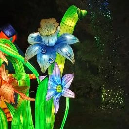 Garden of Lights Debrecen ZOO, Debrecen - Egyéb