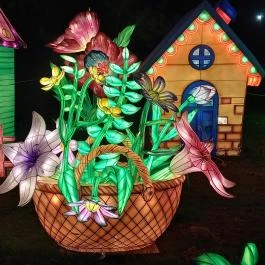 Garden of Lights Debrecen ZOO, Debrecen - Egyéb