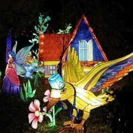 Garden of Lights Debrecen ZOO, Debrecen - Egyéb