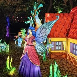 Garden of Lights Debrecen ZOO, Debrecen - Egyéb