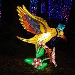 Garden of Lights Debrecen ZOO, Debrecen - Egyéb