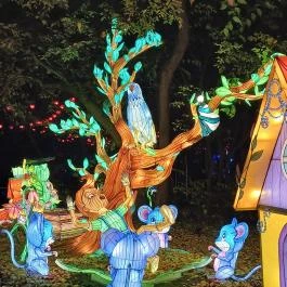 Garden of Lights Debrecen ZOO, Debrecen - Egyéb