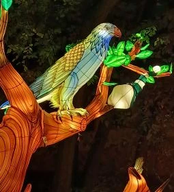 Garden of Lights Debrecen ZOO