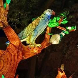 Garden of Lights Debrecen ZOO, Debrecen - Egyéb