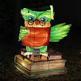 Garden of Lights Debrecen ZOO, Debrecen - Egyéb