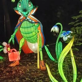 Garden of Lights Debrecen ZOO, Debrecen - Egyéb