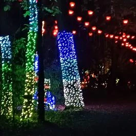 Garden of Lights Debrecen ZOO, Debrecen - Egyéb