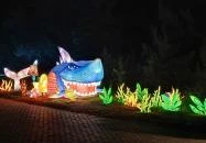Garden of Lights Debrecen ZOO Debrecen